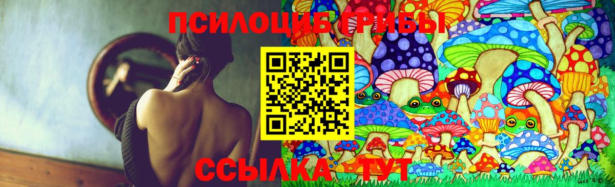Псилоцибиновые грибы мухоморы  Вход с VPN  закладки  Сергиев Посад  Псилоцибиновые грибы Psilocybe 