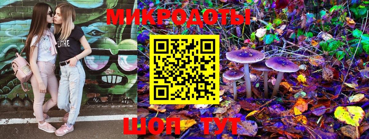 Галлюциногенные грибы Psilocybine cubensis Сергиев Посад